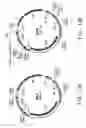 Fig. 18 - Codon-optimized genes for the production of polyunsaturated fatty acids in oleaginous yeasts