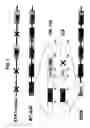 Fig. 02 - Novel adenoviruses, nucleic acids that code for the same and the use of said viruses