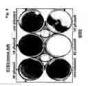 Fig. 05 - Novel adenoviruses, nucleic acids that code for the same and the use of said viruses