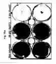 Fig. 19 - Novel adenoviruses, nucleic acids that code for the same and the use of said viruses