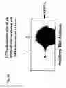 Fig. 28 - Novel adenoviruses, nucleic acids that code for the same and the use of said viruses
