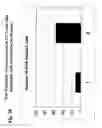 Fig. 30 - Novel adenoviruses, nucleic acids that code for the same and the use of said viruses