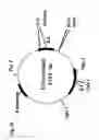 Fig. 34 - Novel adenoviruses, nucleic acids that code for the same and the use of said viruses