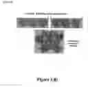 Fig. 03 - Automatable artificial immune system (AIS)