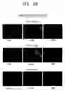 Fig. 09 - Cell separation method and kit using phase separation