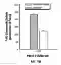 Fig. 22 - Microscale micropatterened engineered in vitro tissue