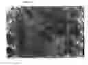 Fig. 07 - Methods of culturing embryonic stem cells and controlled differentiation