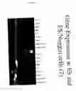 Fig. 16 - Methods of culturing embryonic stem cells and controlled differentiation