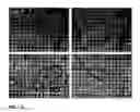 Fig. 03 - Inhibition of stem cell differentiation, enhancement of proliferation and selective induction of apoptosis by WNT factors