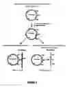 Fig. 02 - Method for inserting a nucleic acid of interest into a prokaryotic or eukaryotic cell by homologous recombination