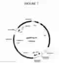 Fig. 08 - Compositions and methods for treating tissue