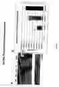 Fig. 08 - Cell lines for production of replication-defective adenovirus