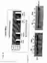 Fig. 11 - Cell lines for production of replication-defective adenovirus