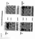 Fig. 12 - Cell lines for production of replication-defective adenovirus