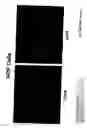 Fig. 14 - Cell lines for production of replication-defective adenovirus
