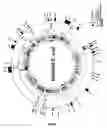 Fig. 02 - Bacteria with reduced genome