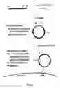 Fig. 06 - Bacteria with reduced genome