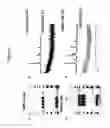 Fig. 07 - Automated strategy for identifying physiological glycosylation markers(s)