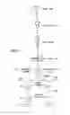Fig. 19 - Methods and apparatus for blood typing with optical bio-discs