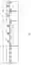 Fig. 05 - Method of reducing charging damage to integrated circuits during semiconductor manufacturing