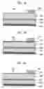 Fig. 05 - Light emitting device having nano structures for light extraction