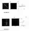 Fig. 22 - Patterned functionalized silicon surfaces
