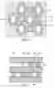 Fig. 05 - Method for forming a recessed gate with word lines