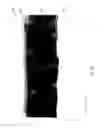 Fig. 25 - Manufacturing method of semiconductor device