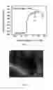 Fig. 03 - Compound semiconductor material and method for forming an active layer of a thin film transistor device