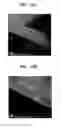 Fig. 08 - Methods of fabricating a semiconductor device having a metal gate pattern