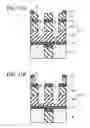 Fig. 12 - Semiconductor device and method for fabricating the same