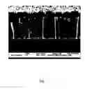 Fig. 08 - Anodized aluminum oxide nanoporous template and associated method of fabrication