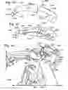Fig. 12 - Transformation toy interchangeability