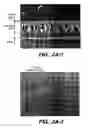 Fig. 03 - Method of producing polishing cloth