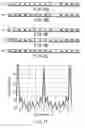Fig. 11 - Wireless packet transmitting device and method using a plurality of antennas