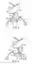 Fig. 03 - Infant swing apparatus