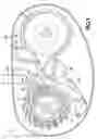 Fig. 04 - Bicycle gear set