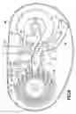 Fig. 05 - Bicycle gear set