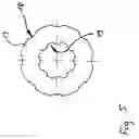 Fig. 06 - Epicyclic gear
