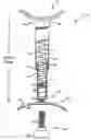 Fig. 01 - Exercise device and method