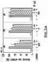 Fig. 06 - Androgen receptor coregulators