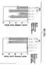 Fig. 19 - Androgen receptor coregulators