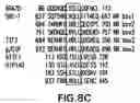 Fig. 20 - Androgen receptor coregulators