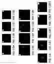 Fig. 26 - Androgen receptor coregulators