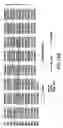 Fig. 30 - Androgen receptor coregulators