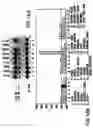 Fig. 31 - Androgen receptor coregulators