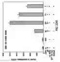 Fig. 38 - Androgen receptor coregulators