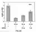 Fig. 44 - Androgen receptor coregulators