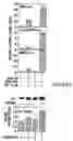 Fig. 49 - Androgen receptor coregulators