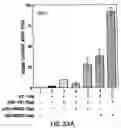 Fig. 51 - Androgen receptor coregulators